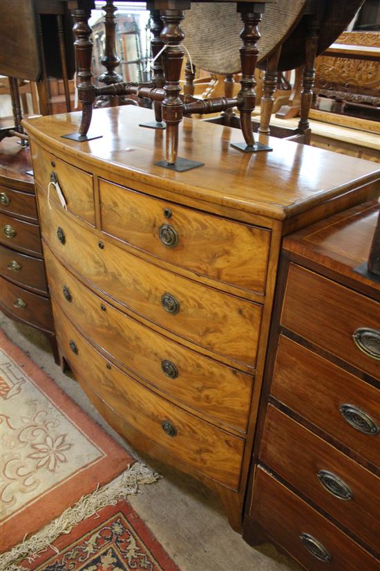 Regency mahogany bow-fronted chest fitted five drawers